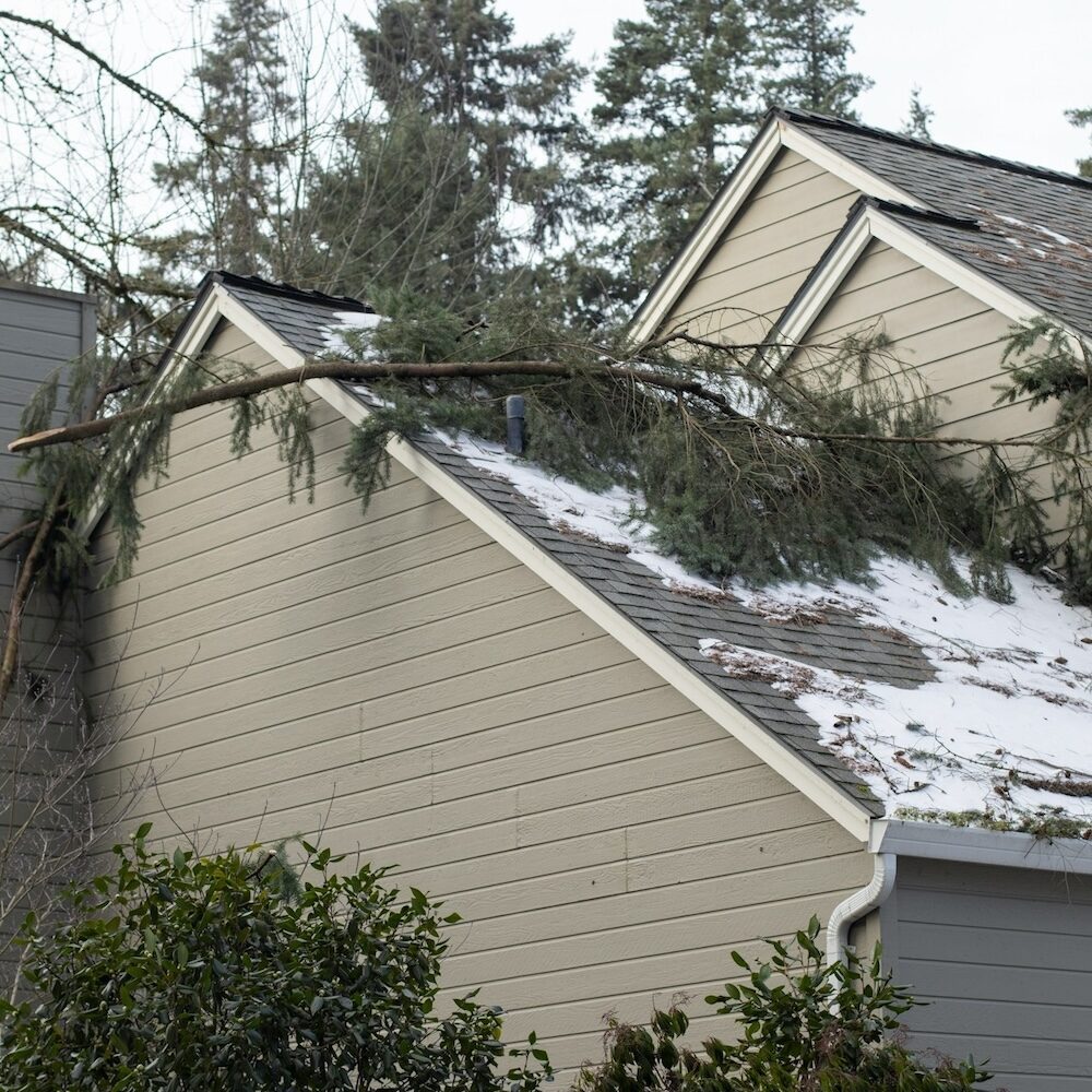 emergency-storm-cleanup