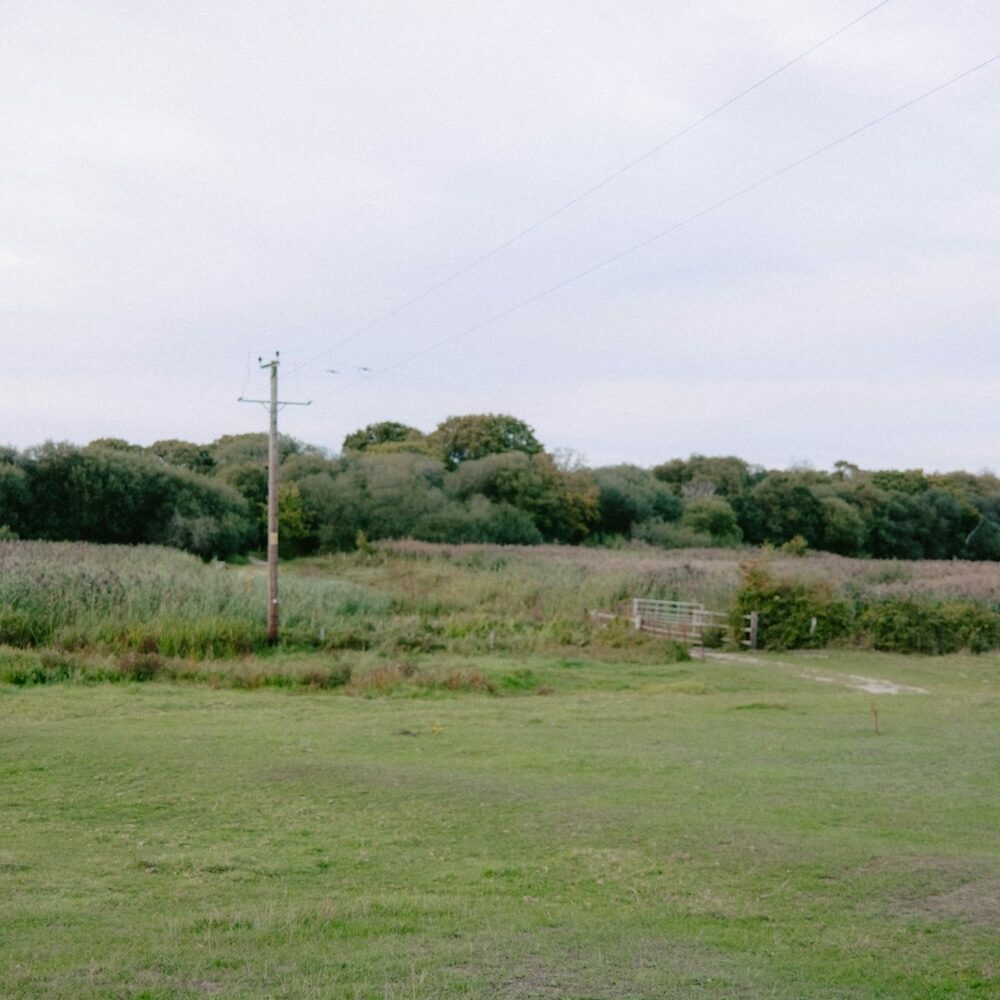 land-lot-clearing