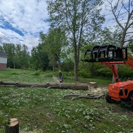 tree-removal