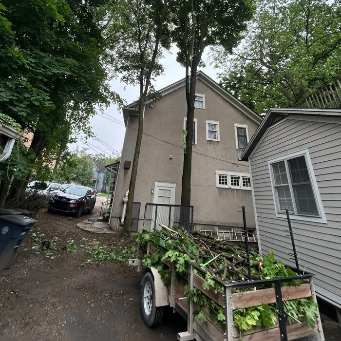 tree-trimming